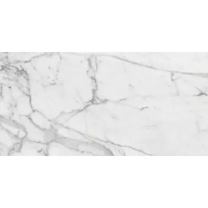 Керамический гранит Kerranova Marble Trend каррара K-1000/LR 60x120 см